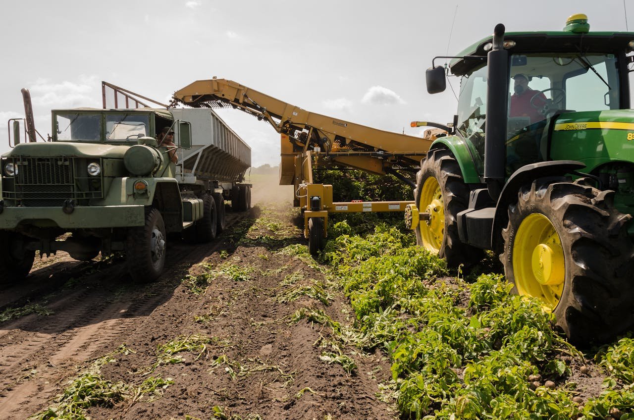 Distribución maquinaria agrícola Almería. A tractor and truck collaborate in harvesting crops on a sunny farm field.